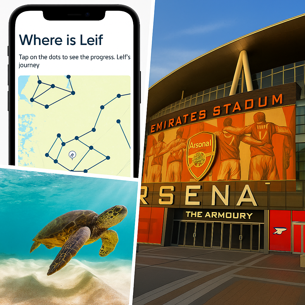Track a Real Sea Animal & Football Microchip Bracelets